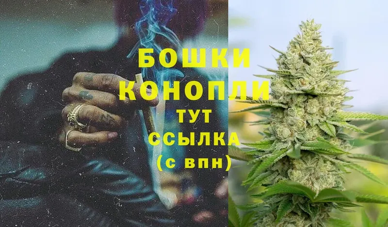 Бошки Шишки план  Грязи 